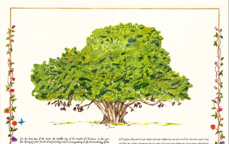 The Carob Tree